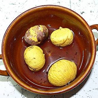 kastan_oloupany2.jpg