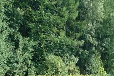 tady je to lepe videt.JPG