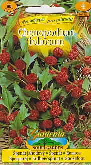 Chenopodium_foliosum1.jpg