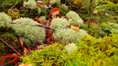 2007_09_29_14_34_53_co je na kopci.jpg