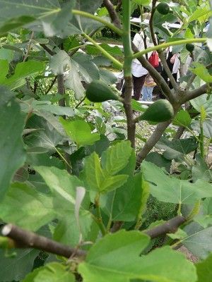 tranšej.jpg (108.58 KiB) Zobrazeno 25495 krát tranšej.jpg