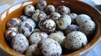 P1020989.JPG (139.34 KiB) Zobrazeno 24502 krát P1020989.JPG