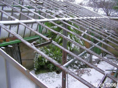 PC120013.jpg (118.87 KiB) Zobrazeno 33177 krát PC120013.jpg