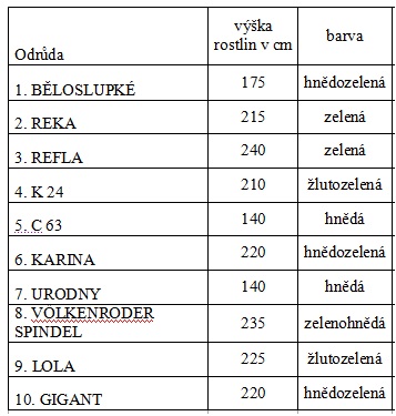 Bez názvu.jpg