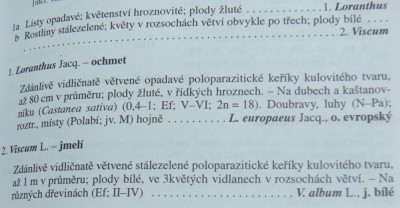 jmelí1.jpg