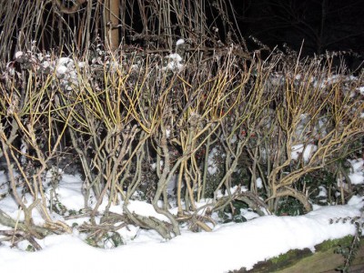 plot 2.jpg (148.73 KiB) Zobrazeno 18857 krát plot 2.jpg