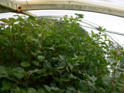 tr7.jpg (139.44 KiB) Zobrazeno 26801 krát tr7.jpg