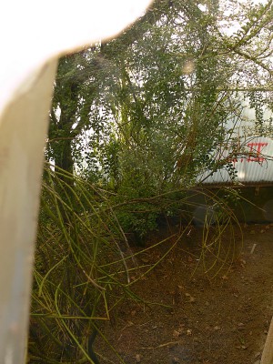 tr8.jpg (195.21 KiB) Zobrazeno 26805 krát tr8.jpg