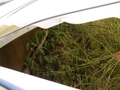 tr9.jpg (149.06 KiB) Zobrazeno 26803 krát tr9.jpg