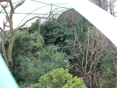 tr10.jpg (216.93 KiB) Zobrazeno 26799 krát tr10.jpg