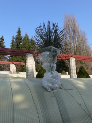 tr11.jpg (114.58 KiB) Zobrazeno 26811 krát tr11.jpg