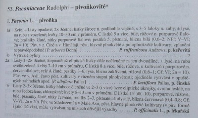 pivonka_klic1m.jpg